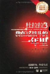 杜拉拉3-我在这战斗的一年里