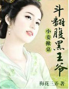 小妾掀桌，斗翻腹黑王爷