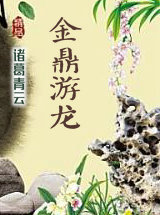 金鼎游龙