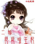 二嫁:妙妙呛王妃