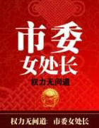 权力无间道:市委女处长