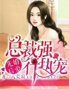 先婚后爱:总裁强行执宠