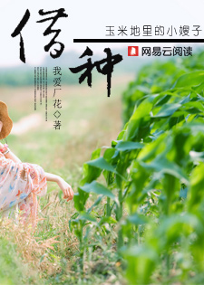 借种:玉米地里的女人