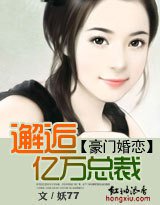 豪门婚恋:邂逅亿万总裁