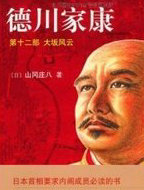 德川家康12·大坂风云