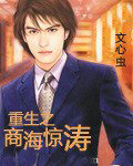 重生之商海惊涛