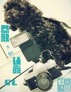 恭敬不如认命GL