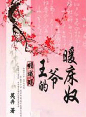 媚成殇:王爷的暖床奴