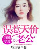 闪婚厚爱：误惹天价老公