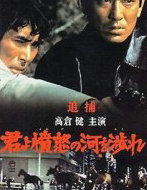 追捕(渡过愤怒的河)