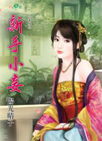 新手小妾